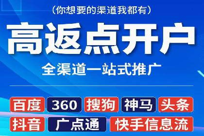 企业SEM服务实战案例解析
